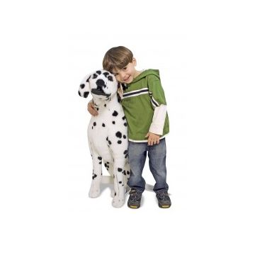 Catel Dalmatian din plus