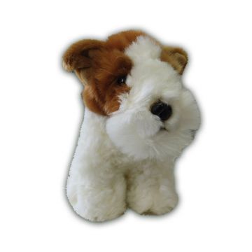 Catelus Fox Terrier Silky 18 cm