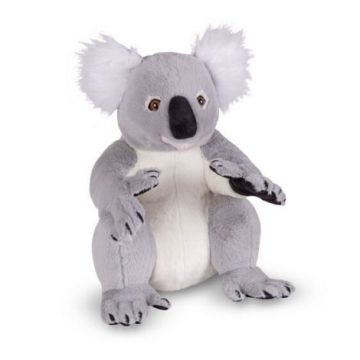Koala gigant din plus