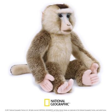 Maimuta cu coada de porc National Geografic 24 cm