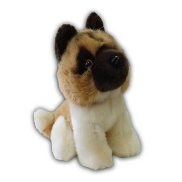 Catel de plus Silky Akita 18 cm