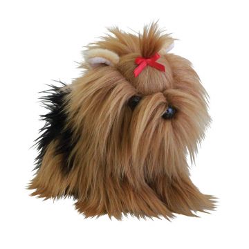 Catelus Yorkshire Terrier de plus Silky 23 cm