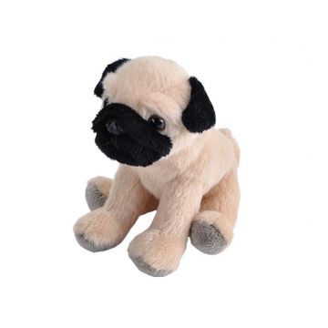 Catel Pug - Jucarie Plus 13 cm