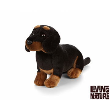 Jucărie de pluș - Câine Dachshund ( Teckel)