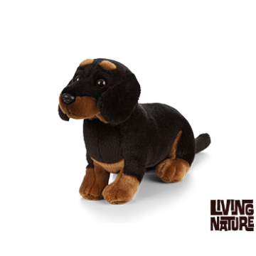 Jucarie de plus - Caine Dachshund ( Teckel)