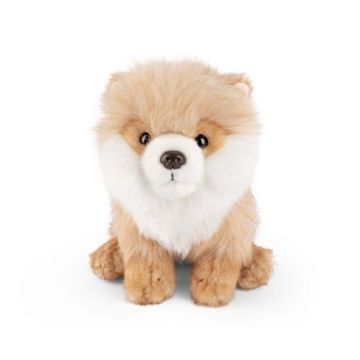 Jucarie din plus - Pomeranian in sezut, 15 cm